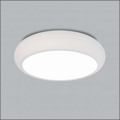 Plafon Redondo Ring - Usina Design